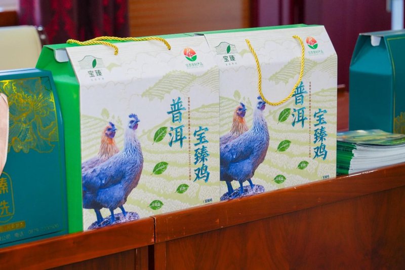 水稻基地——现代农业的绿色引擎